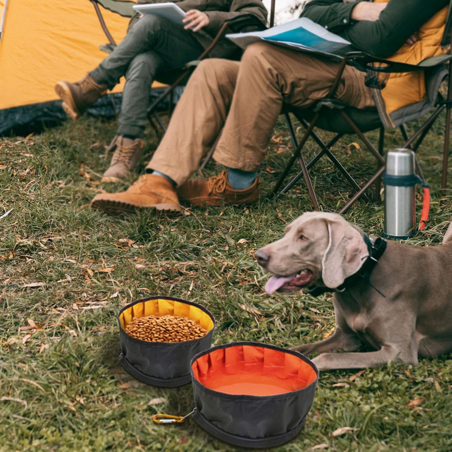 Collapsible Dog Travel Bowl, 2 Packs Large 68Oz/80Oz Lightweight Foldable Bowl, Water and Food Bowls for Pets Dogs with Zipper (8+10 Cups)