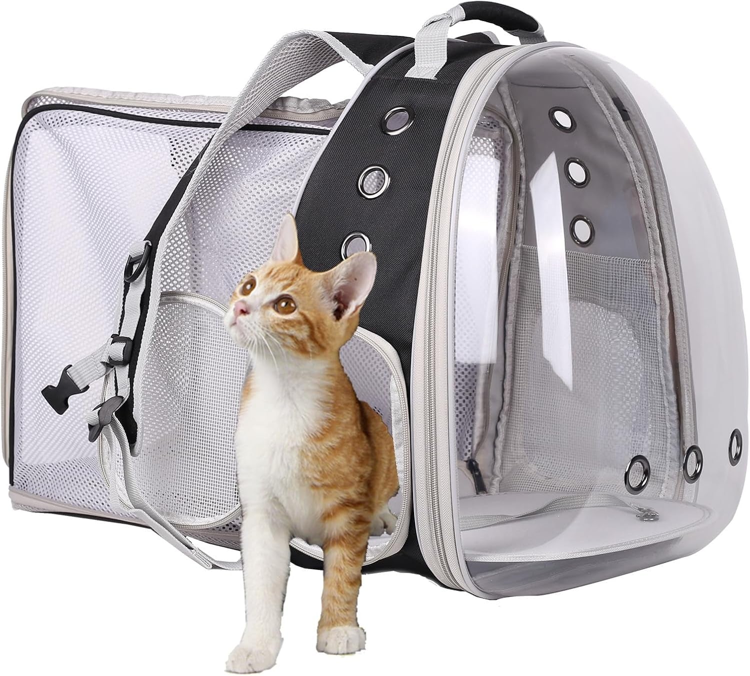 Back Expandable Cat Backpack Carrier, Fit up to 12 Lbs, Space Capsule Bubble Window Pet Carrier Backpack for Cat and Small Puppy